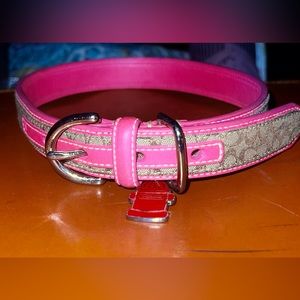 Large coach dog collar